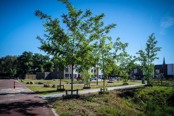 De Roting II – Wanroij