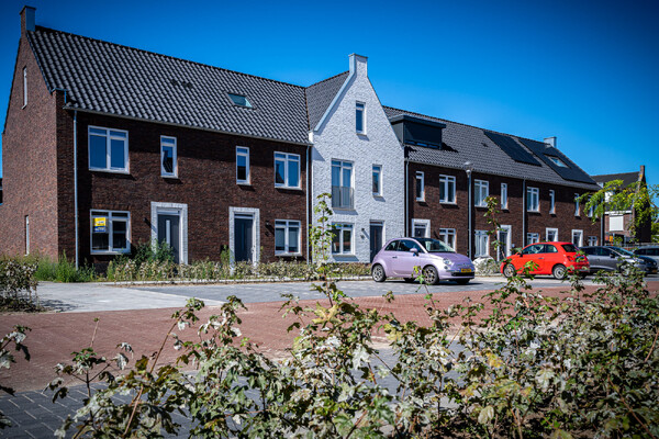 De Roting II – Wanroij